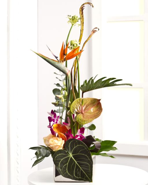 Exotic Arrangement