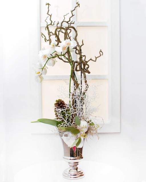 Snowy Orchid Arrangement