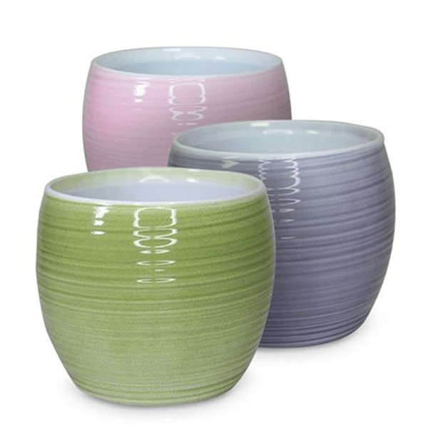 Kambario augalo vazonas