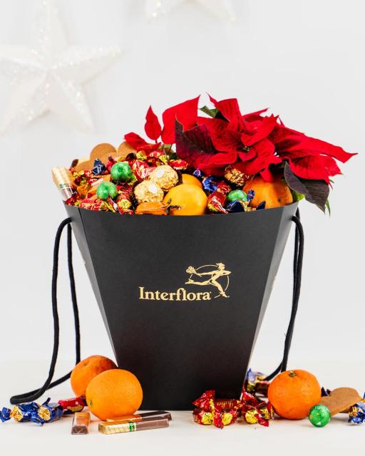 Dovanų maišelis su puansetija