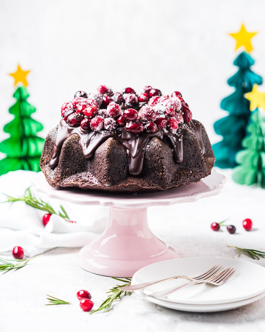 Chocolate cake with cranberries