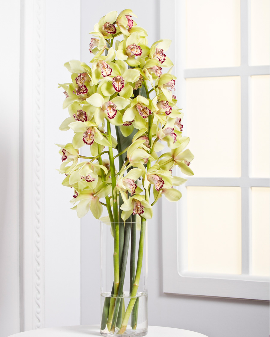 Orchids
